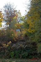 Cjp_2008_11_04_142816 (1).jpg